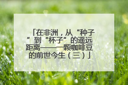 在非洲，从“种子”到“杯子”的遥远距离——一颗咖啡豆的前世今生（三）
