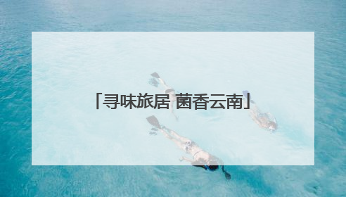 寻味旅居 菌香云南