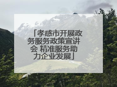 孝感市开展政务服务政策宣讲会 精准服务助力企业发展