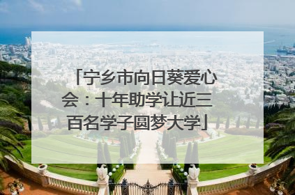 宁乡市向日葵爱心会：十年助学让近三百名学子圆梦大学