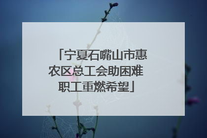 宁夏石嘴山市惠农区总工会助困难职工重燃希望