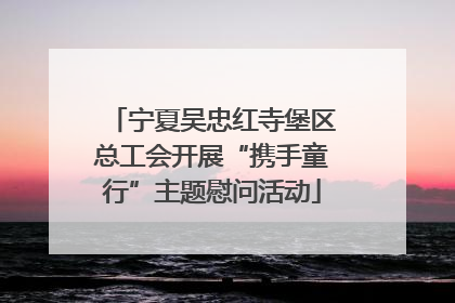 宁夏吴忠红寺堡区总工会开展“携手童行”主题慰问活动