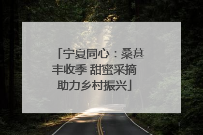 宁夏同心：桑葚丰收季 甜蜜采摘助力乡村振兴