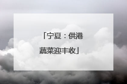 宁夏：供港蔬菜迎丰收