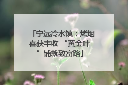 宁远冷水镇：烤烟喜获丰收 “黄金叶”铺就致富路