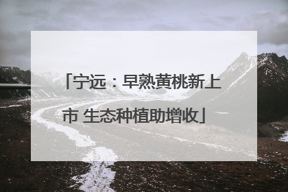 宁远：早熟黄桃新上市 生态种植助增收