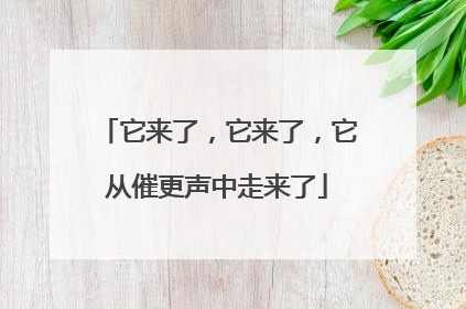 它来了，它来了，它从催更声中走来了