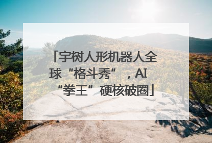 宇树人形机器人全球“格斗秀”，AI“拳王”硬核破圈