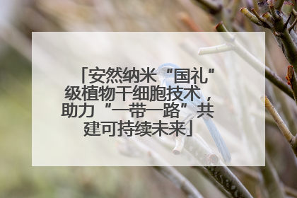 安然纳米“国礼”级植物干细胞技术，助力“一带一路”共建可持续未来