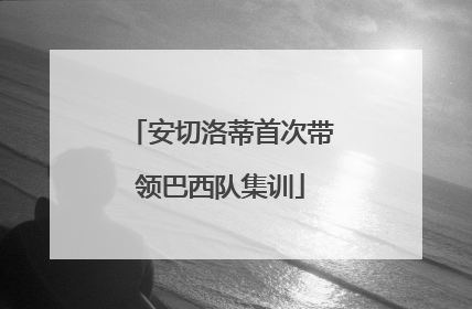 安切洛蒂首次带领巴西队集训
