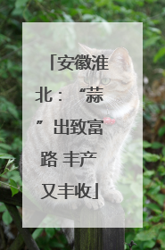 安徽淮北：“蒜”出致富路 丰产又丰收