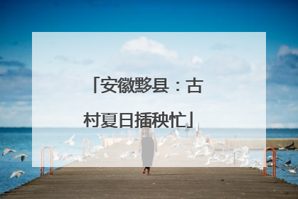 安徽黟县：古村夏日插秧忙