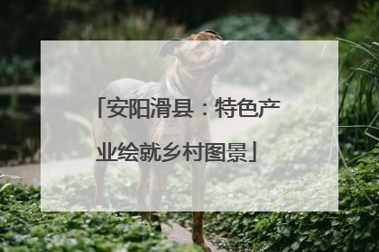 安阳滑县：特色产业绘就乡村图景