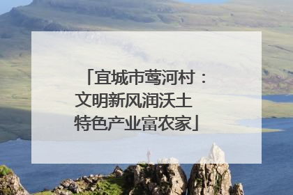 宜城市莺河村：文明新风润沃土 特色产业富农家