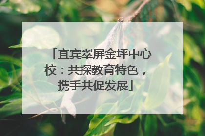 宜宾翠屏金坪中心校：共探教育特色，携手共促发展
