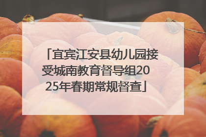 宜宾江安县幼儿园接受城南教育督导组2025年春期常规督查