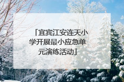 宜宾江安连天小学开展最小应急单元演练活动