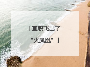 宜职飞出了“火凤凰”