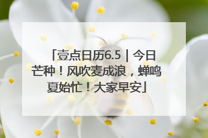 壹点日历6.5｜今日芒种！风吹麦成浪，蝉鸣夏始忙！大家早安