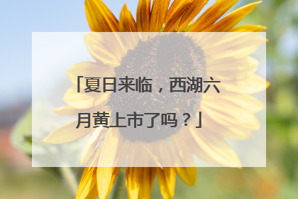 夏日来临，西湖六月黄上市了吗？