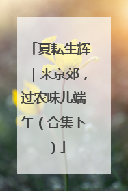 夏耘生辉｜来京郊，过农味儿端午（合集下）