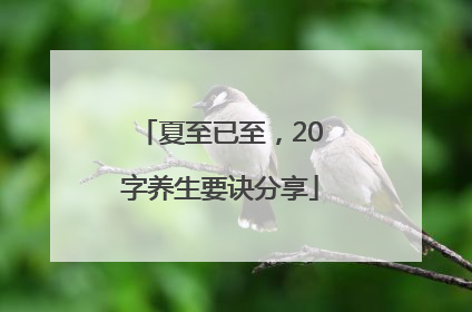 夏至已至，20字养生要诀分享