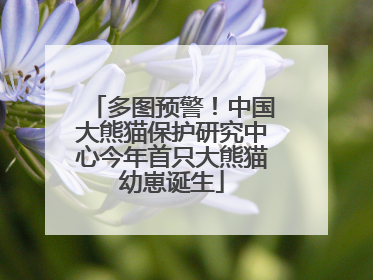多图预警！中国大熊猫保护研究中心今年首只大熊猫幼崽诞生
