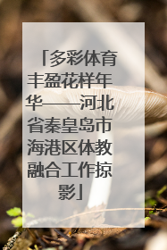多彩体育丰盈花样年华——河北省秦皇岛市海港区体教融合工作掠影