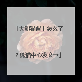 大熊猫背上怎么了？熊猫中心发文→