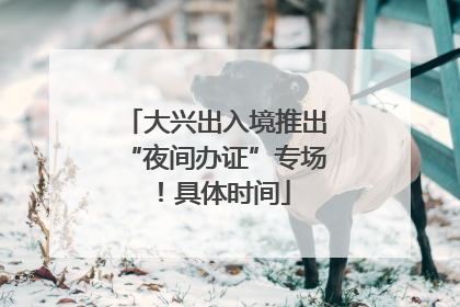 大兴出入境推出“夜间办证”专场！具体时间