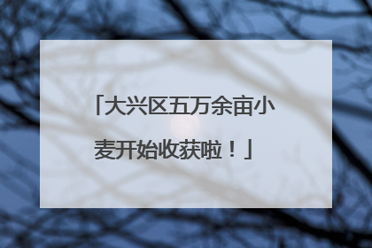 大兴区五万余亩小麦开始收获啦！