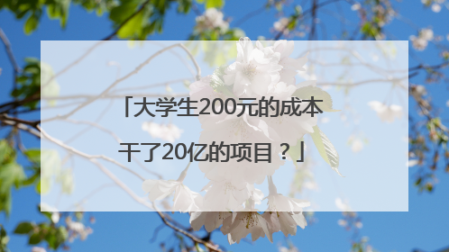 大学生200元的成本干了20亿的项目？