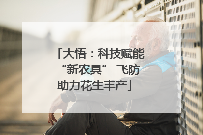 大悟：科技赋能“新农具” 飞防助力花生丰产