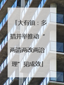 大有镇：多措并举推动“两清两改两治理”见成效