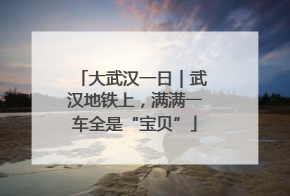 大武汉一日｜武汉地铁上，满满一车全是“宝贝”