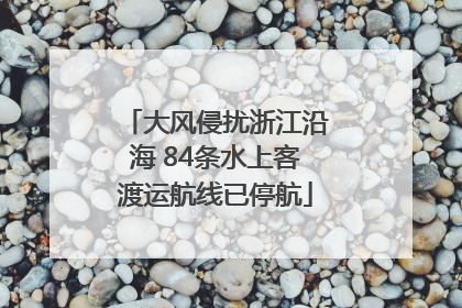 大风侵扰浙江沿海 84条水上客渡运航线已停航