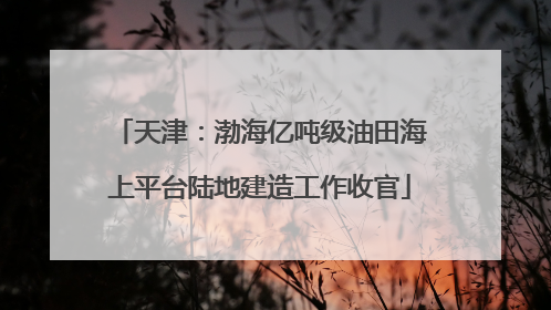 天津：渤海亿吨级油田海上平台陆地建造工作收官