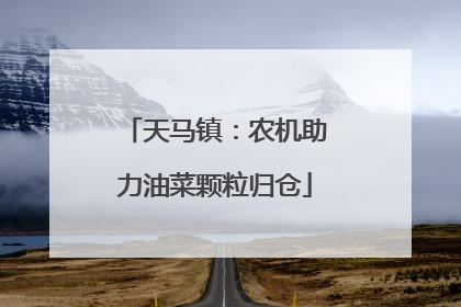 天马镇：农机助力油菜颗粒归仓