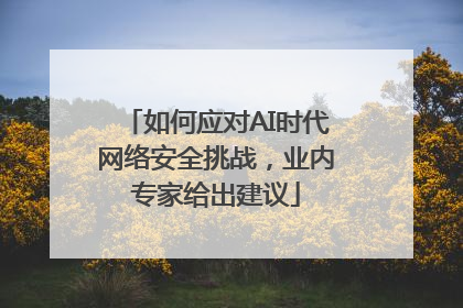 如何应对AI时代网络安全挑战，业内专家给出建议
