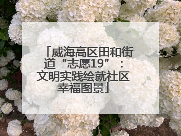 威海高区田和街道“志愿19”：文明实践绘就社区幸福图景