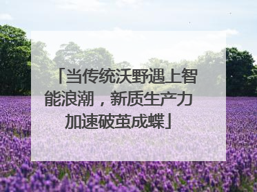 当传统沃野遇上智能浪潮，新质生产力加速破茧成蝶