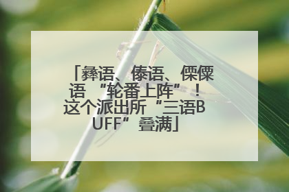 彝语、傣语、傈僳语 “轮番上阵”！这个派出所“三语BUFF”叠满