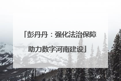 彭丹丹：强化法治保障 助力数字河南建设
