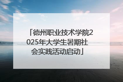 德州职业技术学院2025年大学生暑期社会实践活动启动