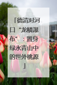 德清对河口“龙鳞瀑布”：置身绿水青山中的世外桃源