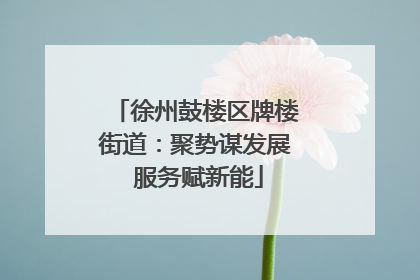 徐州鼓楼区牌楼街道：聚势谋发展 服务赋新能