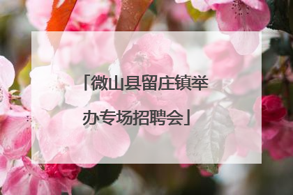 微山县留庄镇举办专场招聘会