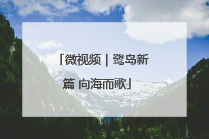 微视频｜鹭岛新篇 向海而歌