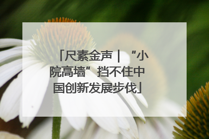 尺素金声｜“小院高墙”挡不住中国创新发展步伐