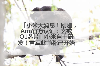 小米大消息！刚刚，Arm官方认证：玄戒O1芯片由小米自主研发！雷军此前称已开始大规模量产